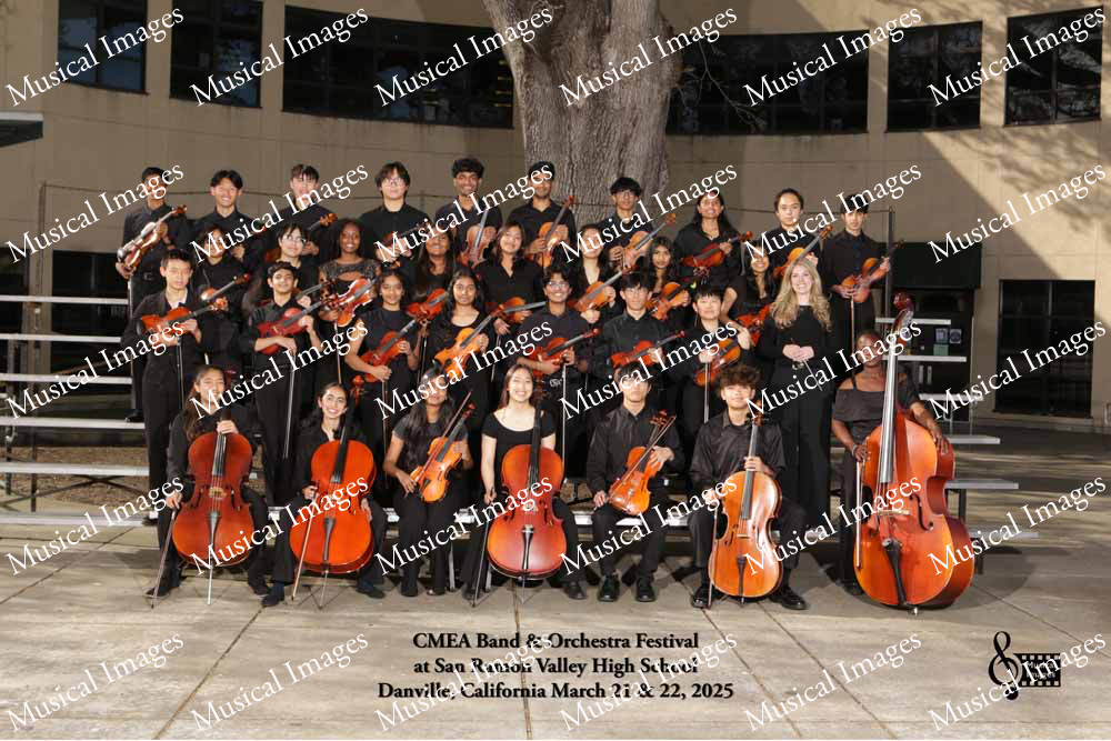 Musical Images